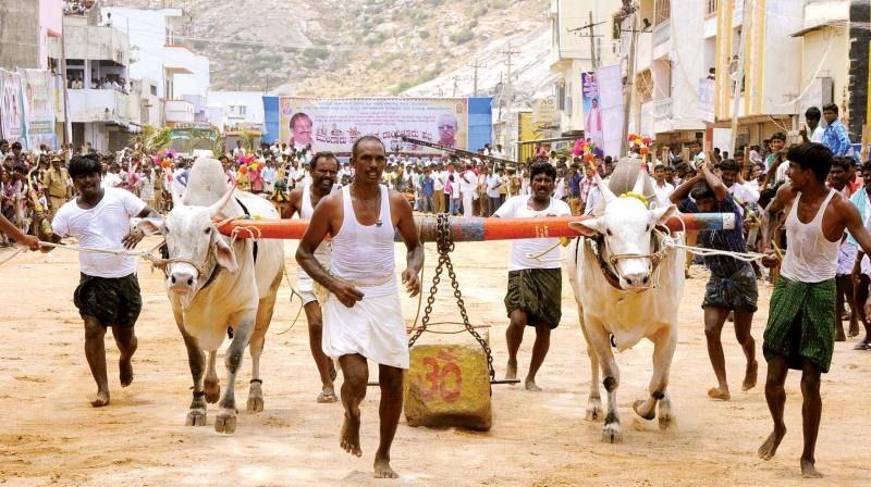 Raichur District Utsav – 2026 4 Processions and cultural rallies